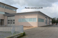 FC_B_1